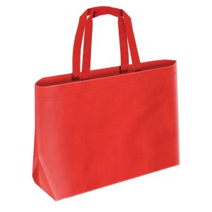 FLWB58 ( Non Woven Bag )