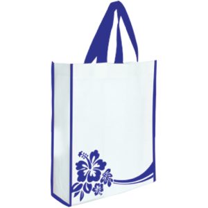 FNWB039 ( Non Woven Bag )