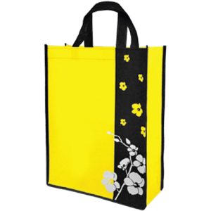 FNWB424 ( Non Woven Bag )