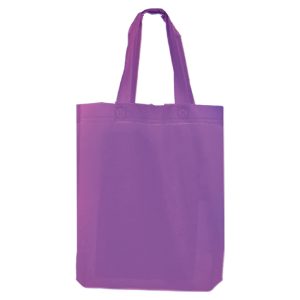 FNWB01-U ( Non Woven Bag )